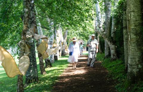 Two people walk along a tree-lined path. On the left, pieces of tan cloth are strung between the white birch trees. One of the people on the path is an older woman in a white dress and sun hat. She is looking at the path. Next to her is an older man with a white hat and a mustache. He is holding a camera.