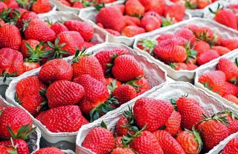 Fresh ripe strawberries in containers.