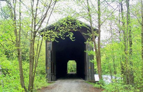 covered bridge in forest