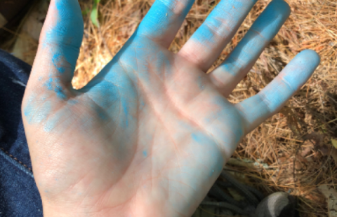 hand covered in blue tree-marking paint