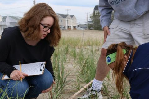 volunteers working on a beach