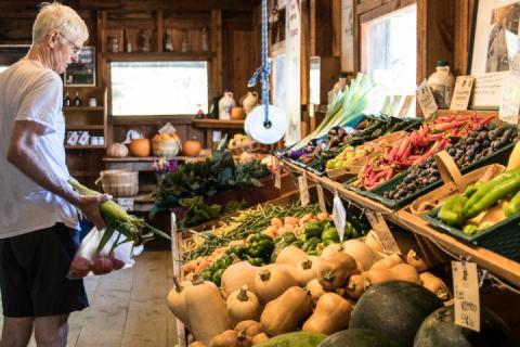 farm fresh market