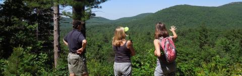 people looking out over NH forest and mountains