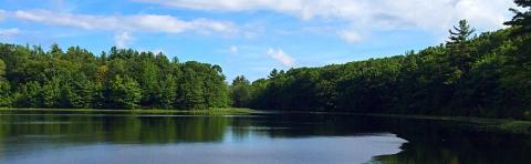 NH lake and trees