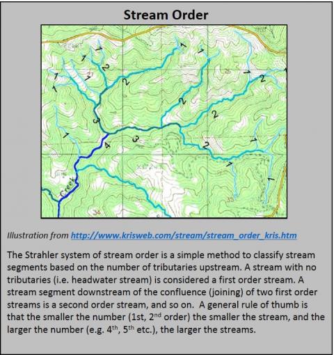 stream order map