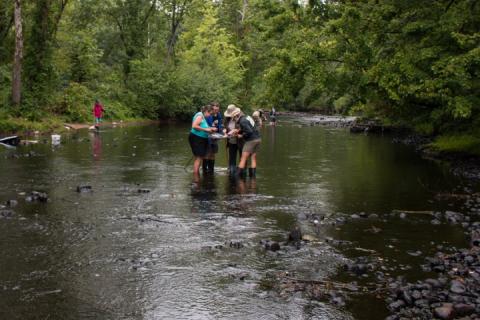 group of volunteers in river collecting water samples