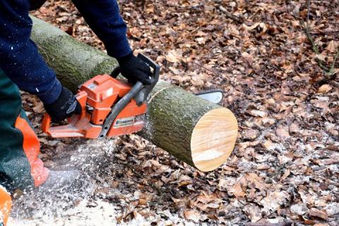 man cutting a log with a chainsaw