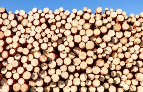 pile of wood