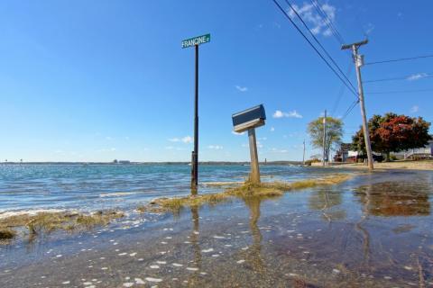 community on the coast