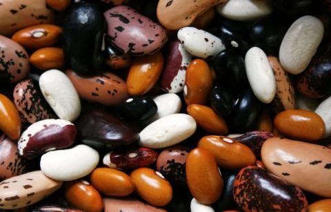 dried beans