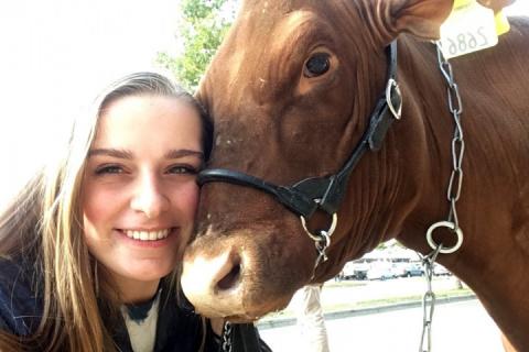 young girl and cow