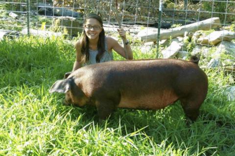 young girl and a pig