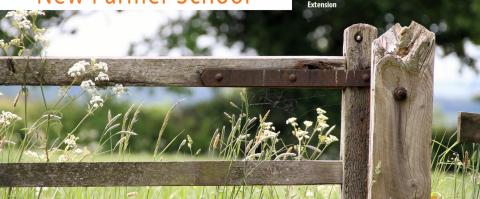 fence