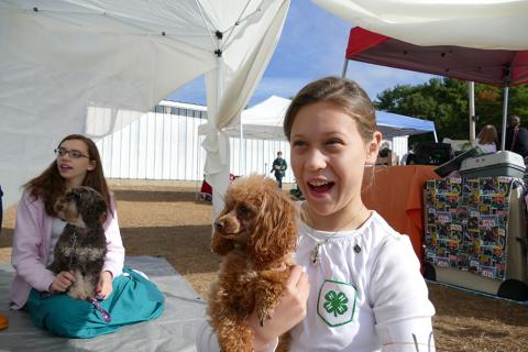 dog show at deerfield fair