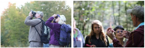 two groups participating in NH Bioblitz outdoor event