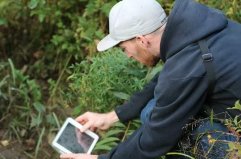 NH Bioblitz participant taking a picture in the woods