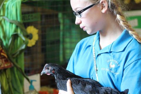 youth with chicken