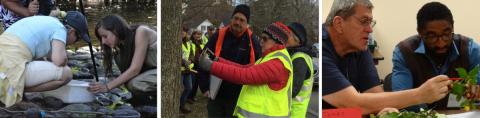 Learning with Natural Resources Stewards