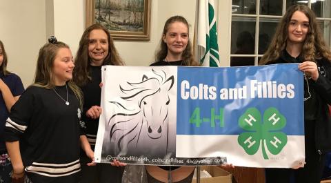 Colts and Fillies 4-H