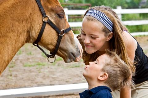 4-H youth with horse