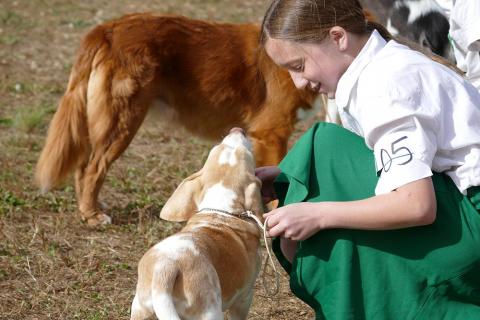 4-H youth with dog