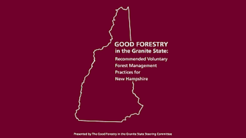 good forestry in the granite state cover