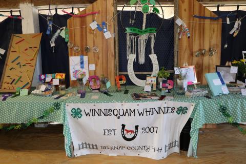 winnisquam whinnies