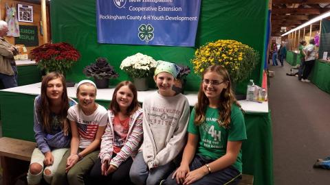 4-H youth at Deerfield Fair