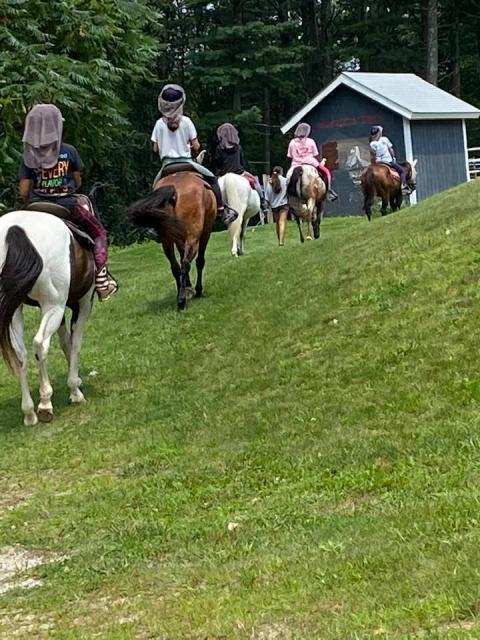 Horse Camp week 7