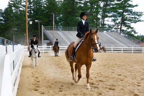 4-H youth at horse show