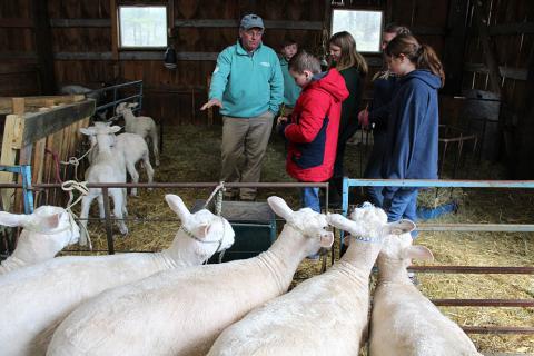 4-H animal science volunteer with youth