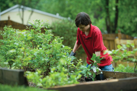 child working in a garden