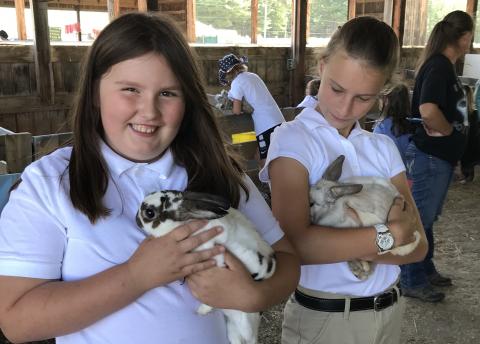 4H Rabbit members