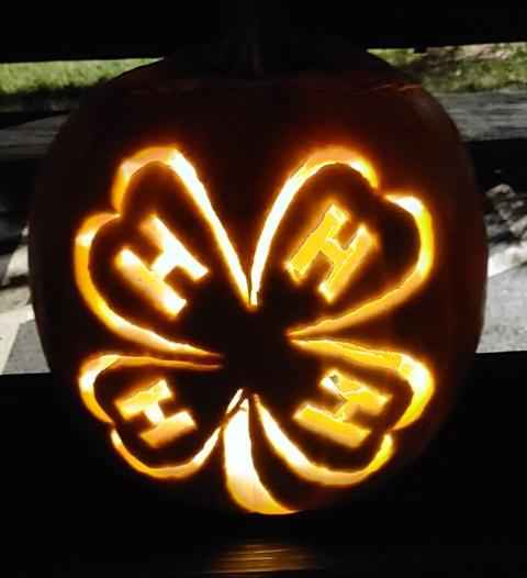Carved Pumpkin - with 4-H Clover on it