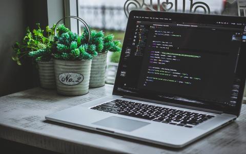 Laptop with coding screen next to succulent plants