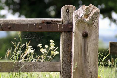 A fence in a field