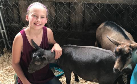 4-H goat member