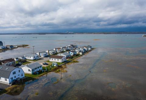 Hampton homes next to the shore