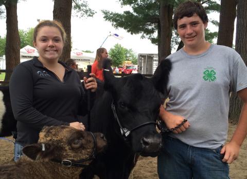 4-H members with beef animals