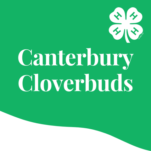 canterbury cloverbuds