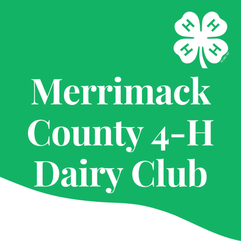 dairy club