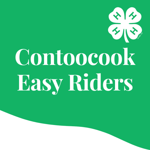 easy riders icon