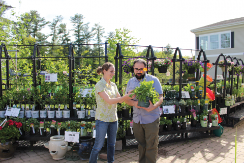 Emma and Nate examining a plant