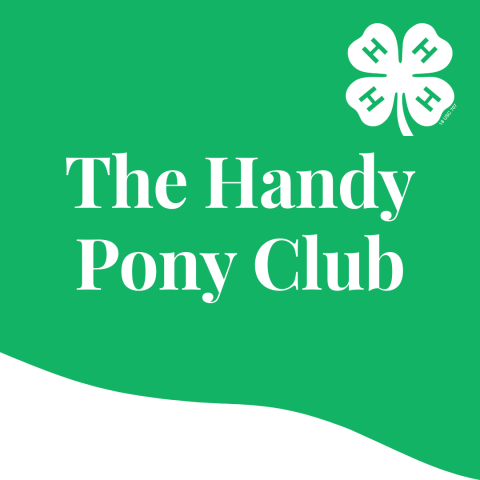 handy pony icon