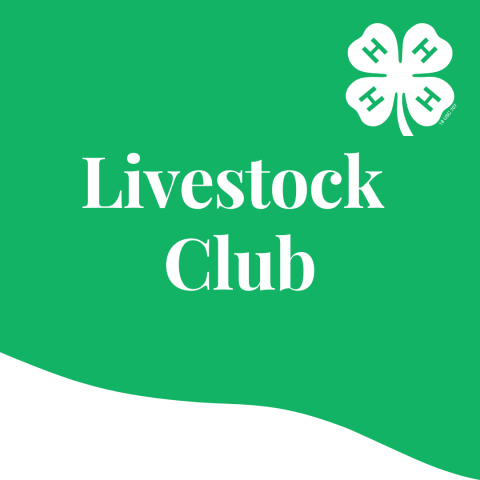 livestock club