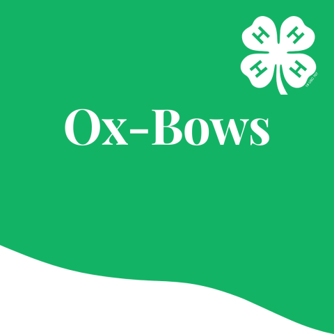ox bows