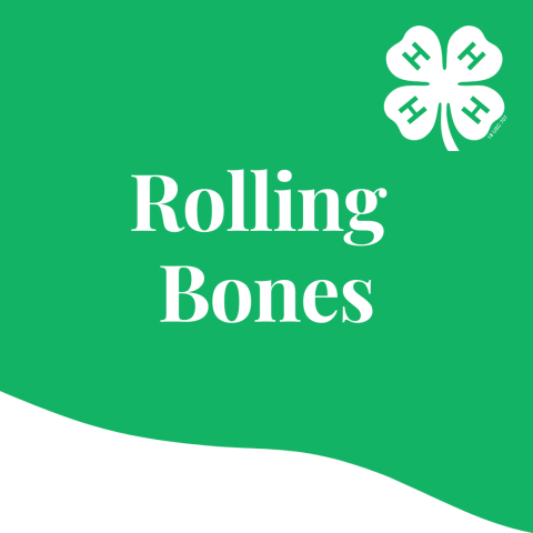 rolling bones icon