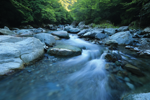 Water rushing over rocks on a river