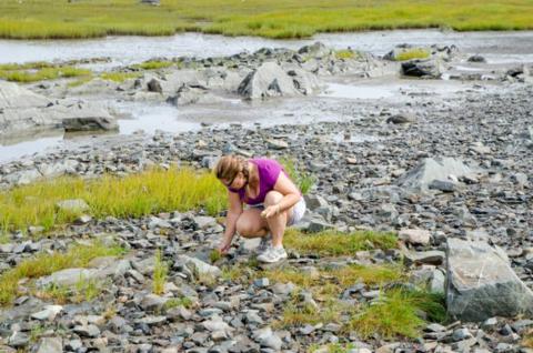 mineral collecting