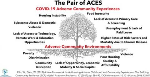 a graphic explaining the community reactions to COVID-19 by Center for Community Resilience at The George Washington University Milken Institute School of Public Health